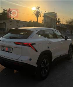 جيتور داشينج